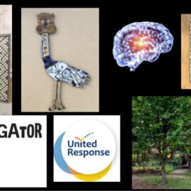 presentation of work by Aliyahgator in the inclusive arts