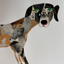 collage of dog face