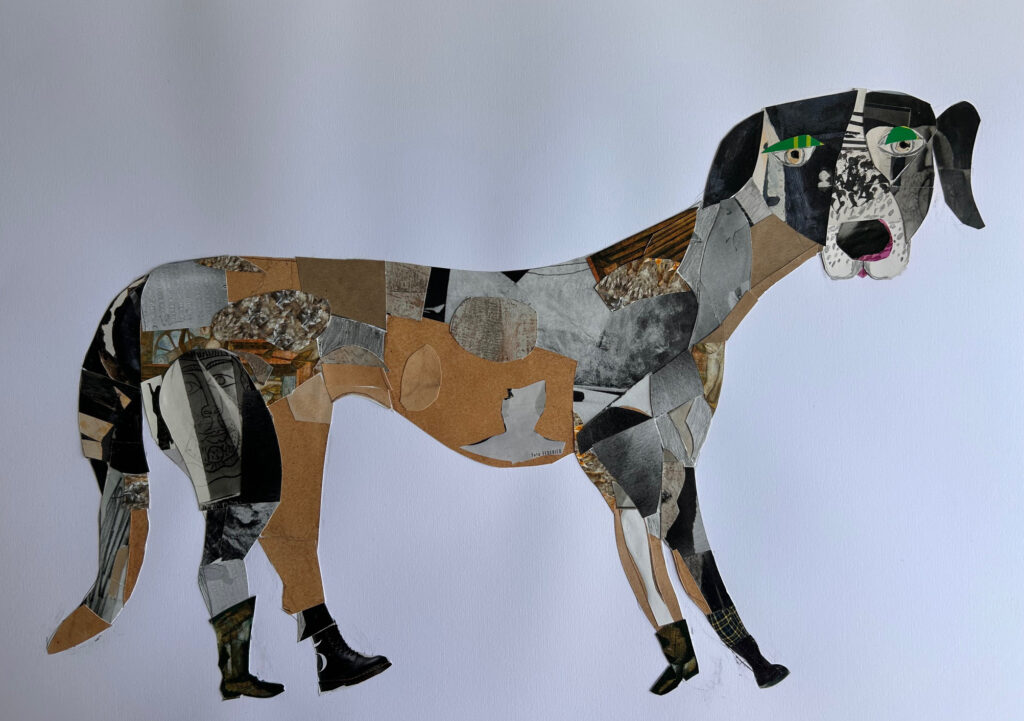 collage of mastiff dog